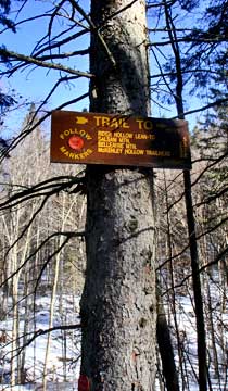 Balsam Mountain