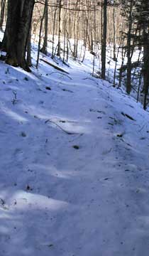 Balsam Mountain