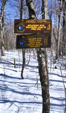 Balsam Mountain