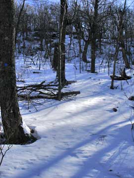 Balsam Mountain