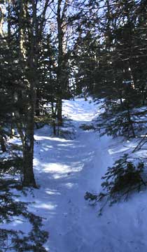 Balsam Mountain