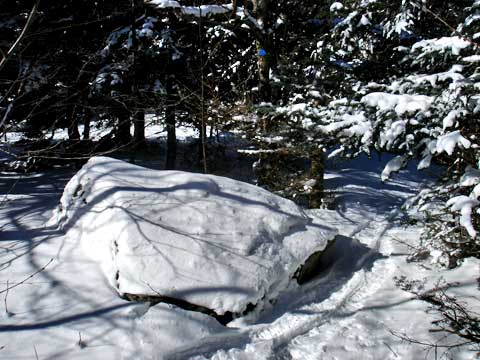 Balsam Mountain