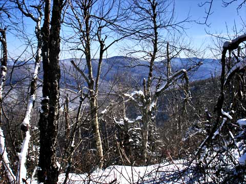 Balsam Mountain