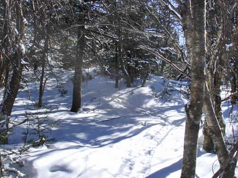 Balsam Mountain