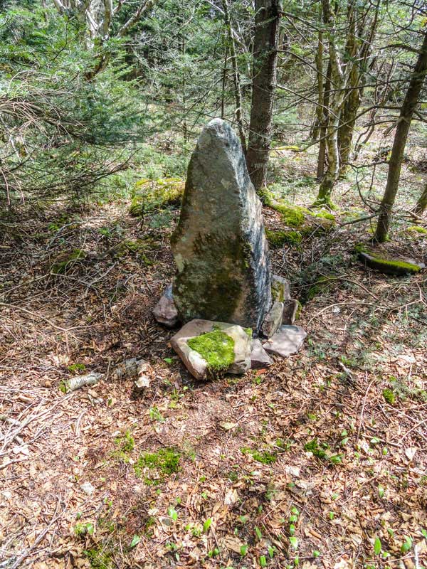 Summit rock on Balsam Mountain