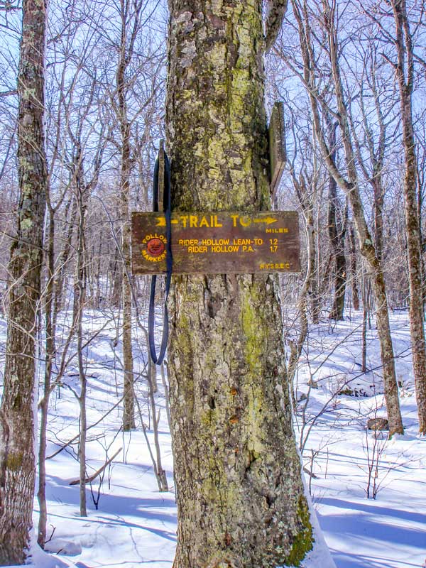 trail junction of Pine Hill West Branch Trail and McKenley Hollow Trail