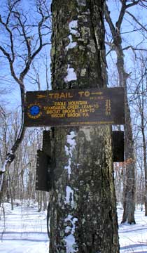 Balsam Mountain