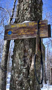 Balsam Mountain
