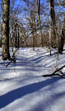 Balsam Mountain