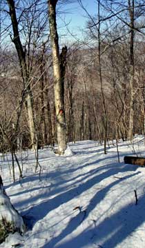 Balsam Mountain