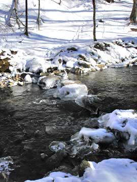 Balsam Mountain