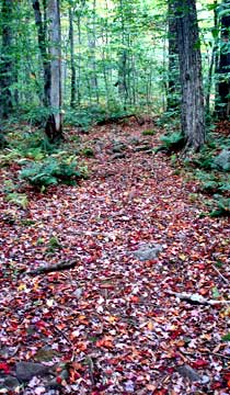 beginning of trail for the hike to Big Indian Mountain