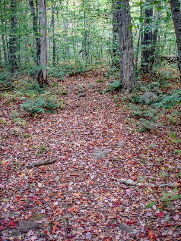 beginning of trail for the hike to Big Indian Mountain