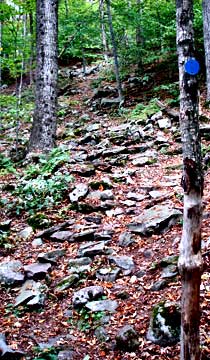 beginning of trail for the Big Indian Mountain