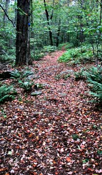 trail to Big Indian Mountain