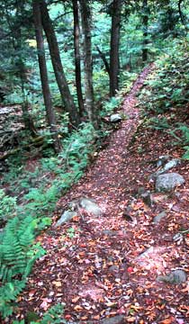 trail to Big Indian Mountain