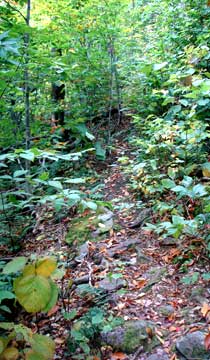 trail to Big Indian Mountain