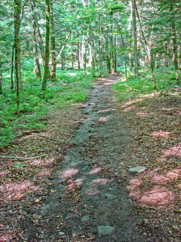 beginning the trail to Eagle Mountain from seager