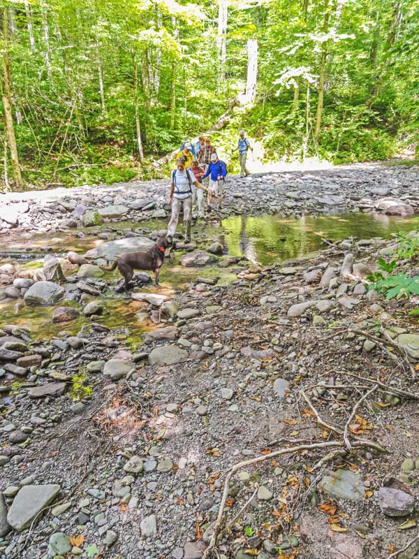 stream crossing just before the side trail up to Eagle Mountain