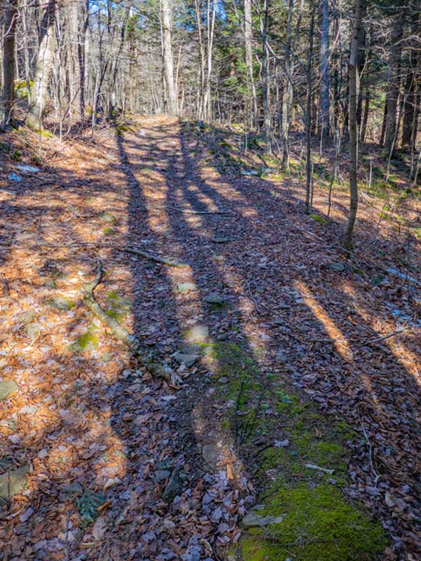 side trail to Eagle Mountain