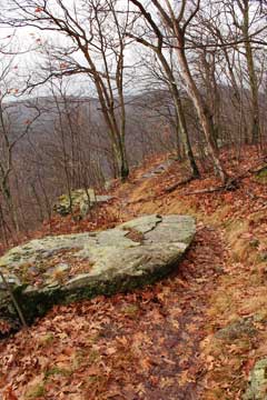 southern part of the escarpment trail