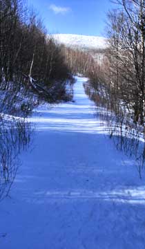 bearpen mountain