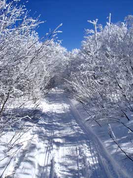 bearpen mountain