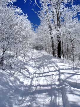 bearpen mountain