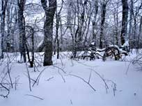 Bearpen mountain