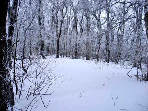 bearpen roundtop mountain