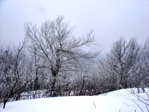 bearpen roundtop mountain