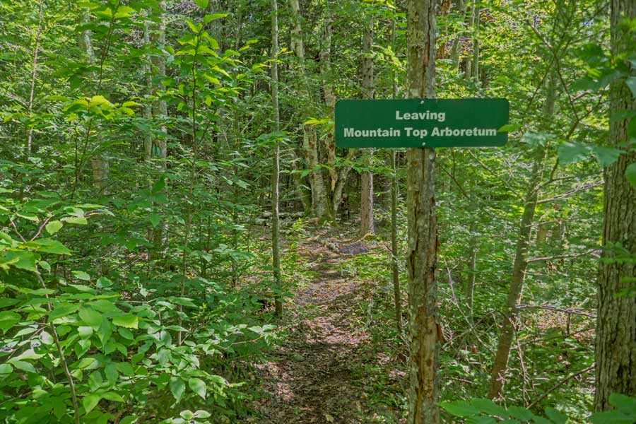 The Rt 23C trail in the Deer Mountain Inn property