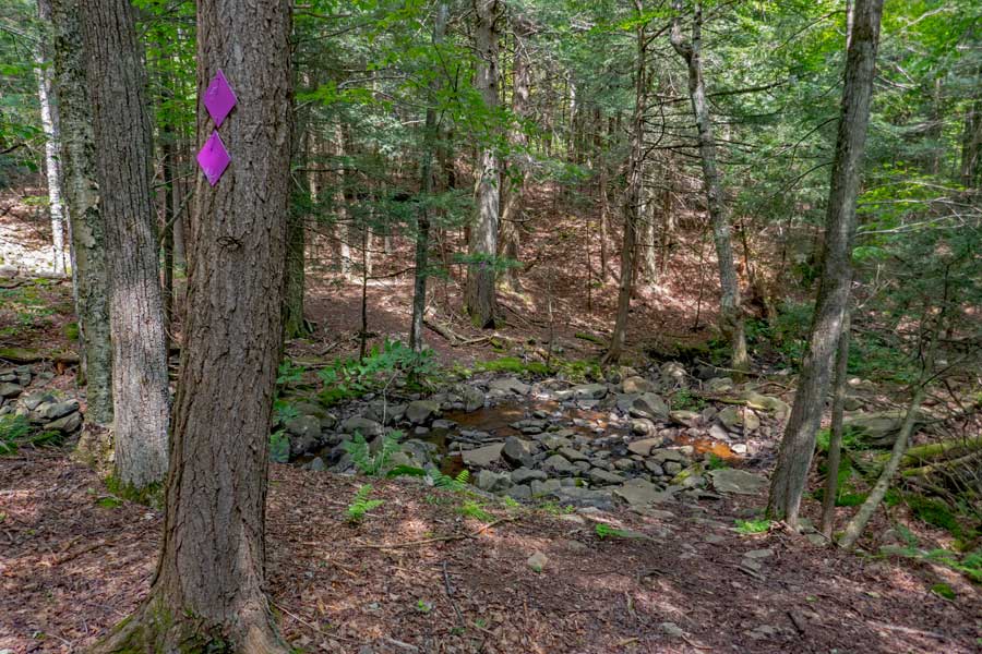 Stream crossing on the Rt 23C Trail on Deer Mountain Inn property. It is between the Hemlock Trail and the Golden Birch Trail