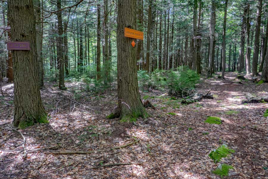 Trailhead for the Golden Birch Trail in the Deer Mountain Inn trail system.