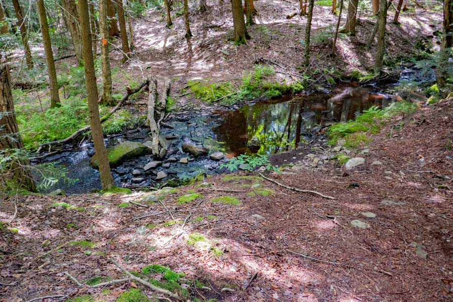 stream crossing on the Golden Birch Trail in the Deer Mountain Inn trail system.