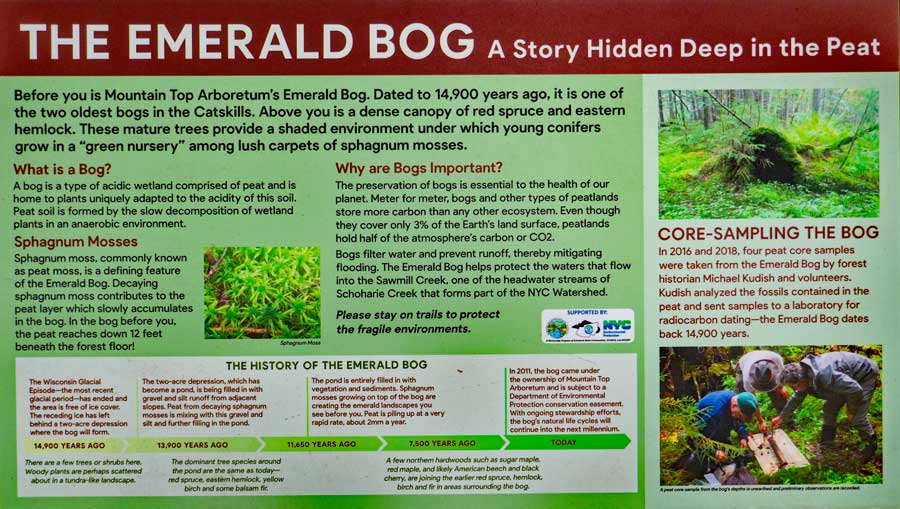 sign in the Emerald Bog in the Spruce Glen section of the Mountain Top Arboretum trail system.
