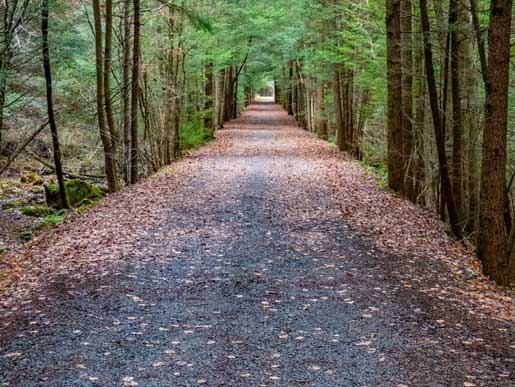 tannersville rail trail