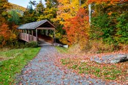The Windham Path
