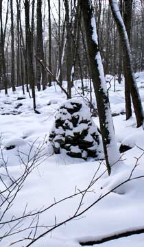 halcott mountain
