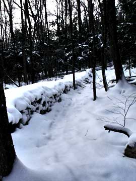 halcott mountain