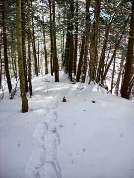halcott mountain