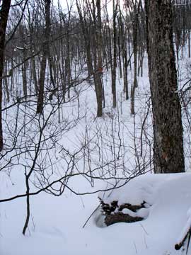 halcott mountain