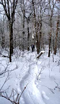 halcott mountain