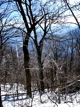 Halcott Mountain