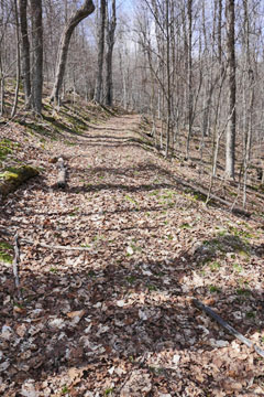 Hunter's cabin at the pass of vly mountain and bearpen mountain