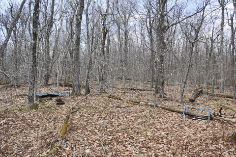 car parts on the pass of condon hollow road and turnk hollow road