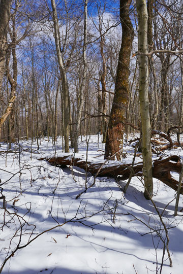 False summit of South Vly Mountain