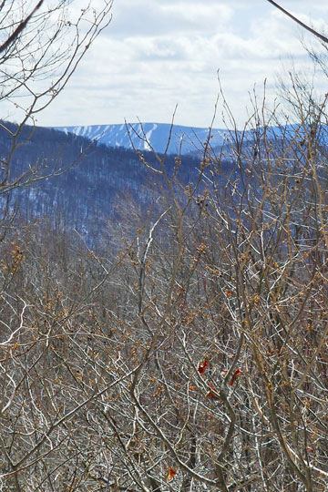 vly and bearpen mountain