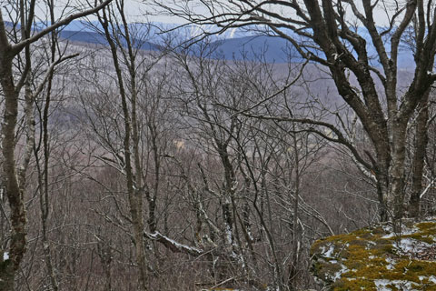 snowmobile trail that goes past the hunters cabinvly and bearpen mountain
