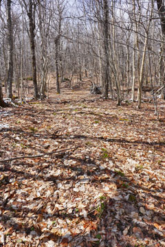 new snowmobile trail between vly and bearpen mountain